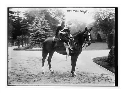 Crown Prince of Germany, on horse, in uniform