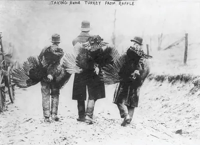 Thanksgiving - taking home turkies from raffle