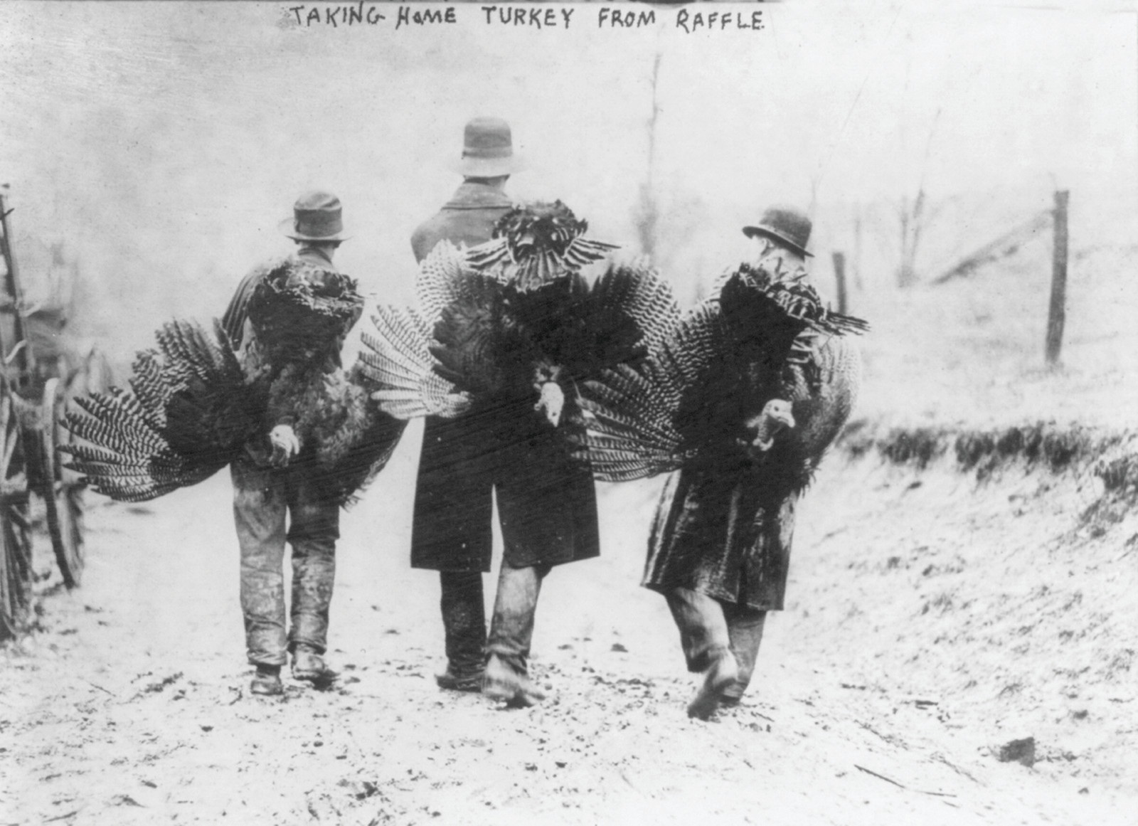 Thanksgiving - taking home turkies from raffle, 1912 Nov. 22 — historic photograph