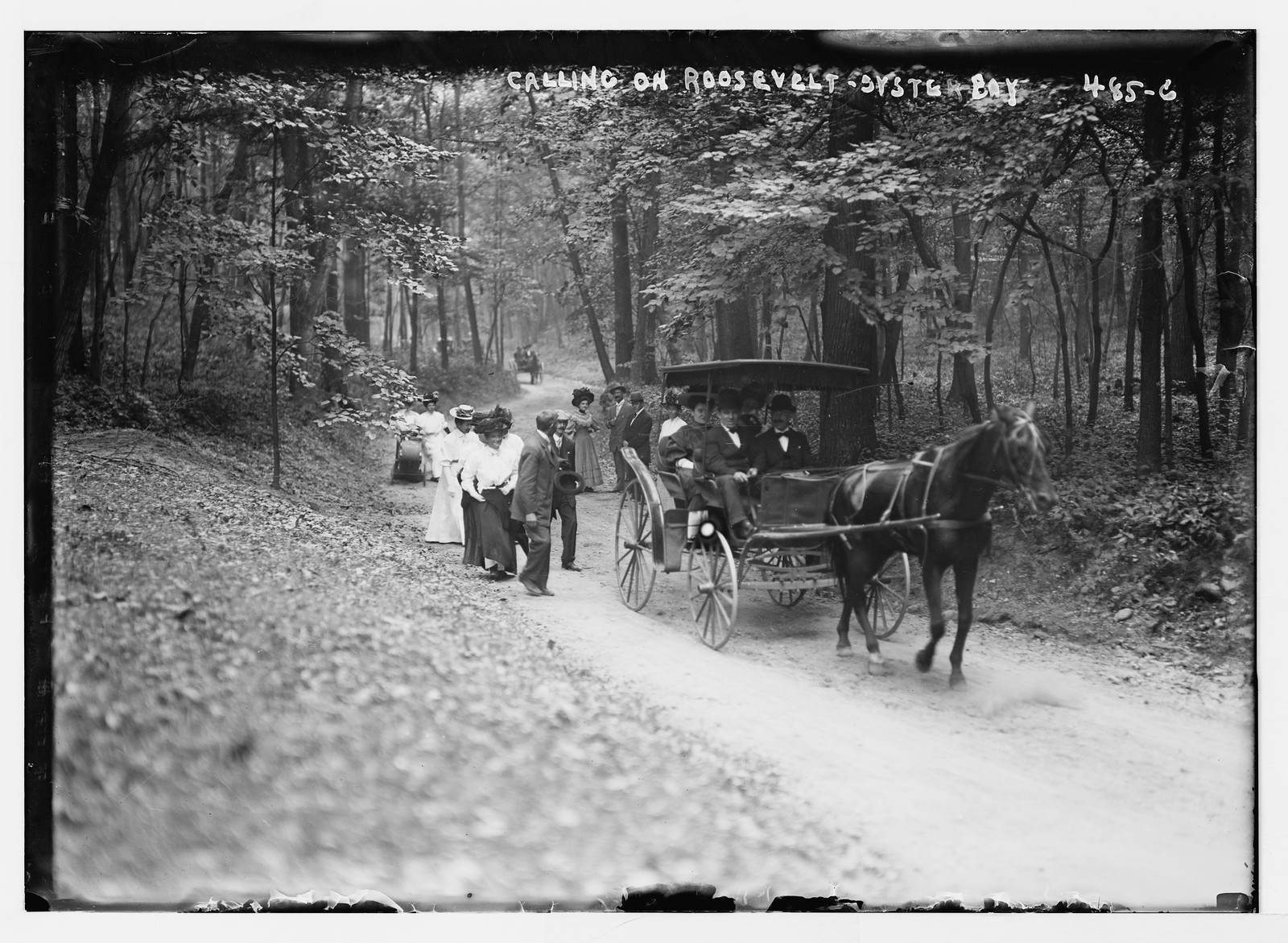 Invited guests on way to Roosevelt House, on foot and in carriage, Sept. 1908. — historic photograph