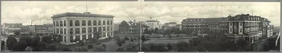 Panoramic view of large buildings and trees along a street