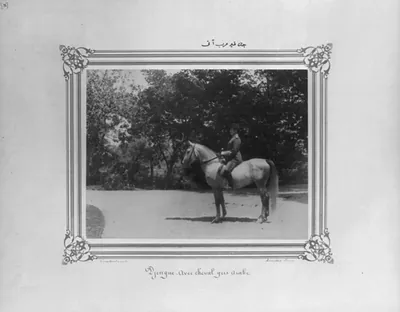 [Cenk: The gray Arabian horse] / Constantinople, Abdullah Frères.