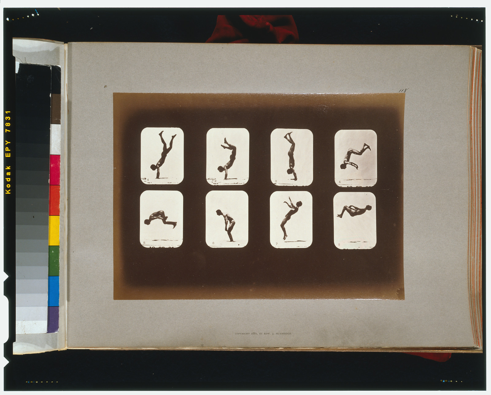 Athletes. Irregular, [San Francisco] : Muybridge, c1881. — historic photograph