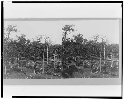 Battle-field of Gettysburg - Union breast works on Culps Hill temporarily taken by the Rebels