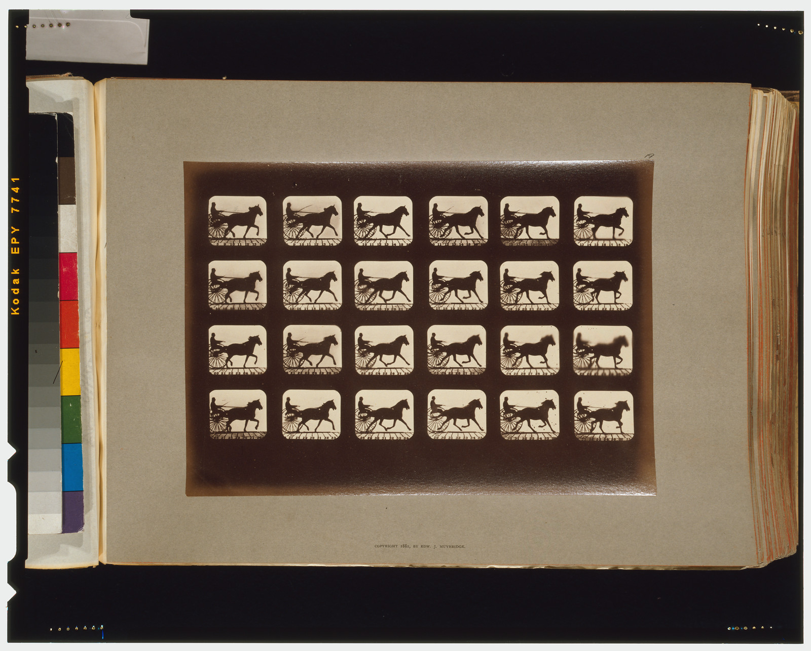 Horses. Pacing, [San Francisco] : Muybridge, c1881. — historic photograph