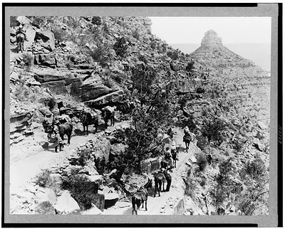 [Mule train and tourists on horseback in Arizona'a Grand Canyon, 1920]