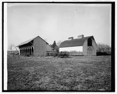Glebe property, Miss Bowie