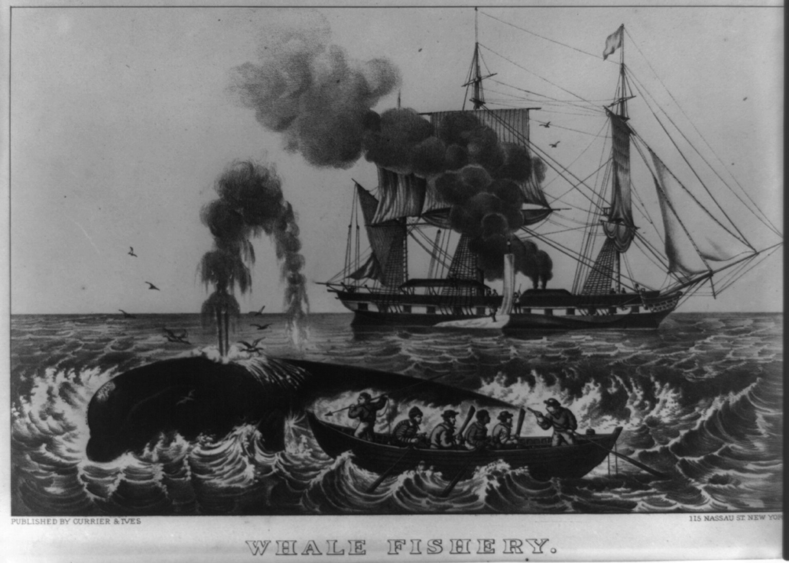 Whale fishery: attacking a right whale, New York : Published by Currier & Ives, [between 1856 and 1907] — antique lithograph
