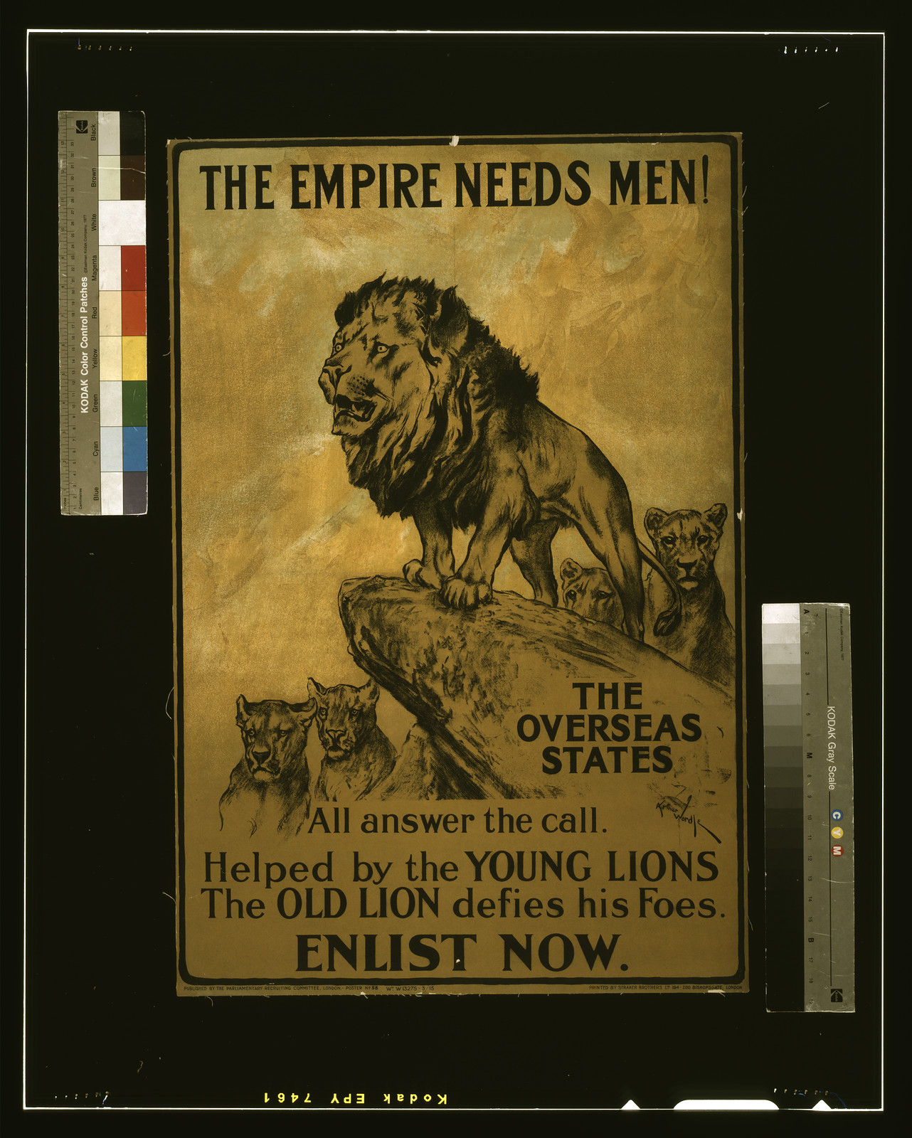 The empire needs men! The overseas states all answer the call. Helped by the young lions the old lion defies his foes. Enlist now / Arthur Wardle ; printed by Straker Brothers Ltd., 194-200 Bishopsgate, London., London : Parliamentary Recruiting Committee, [1915] — vintage poster