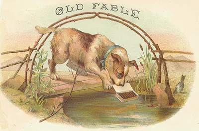 Old Fable: dog peering at a box in water