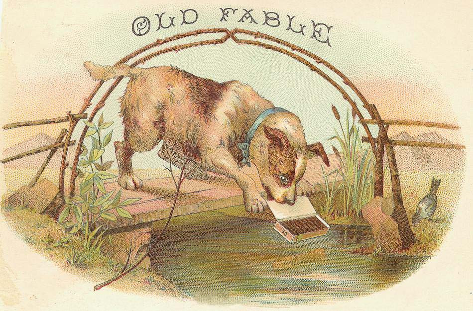 Old Fable: dog peering at a box in water — historic image