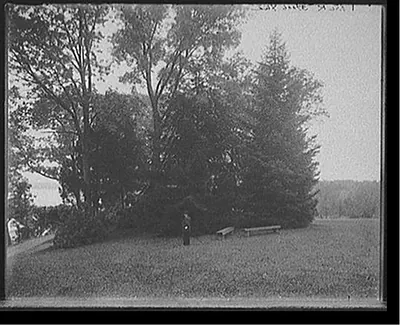[Mt. Vernon, Va., the mansion and grounds]
