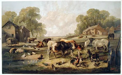 American farm life