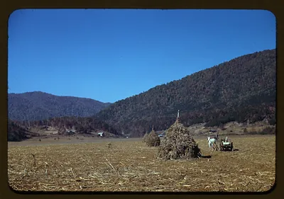 Haystacks and horse-drawn wagon in a mountain valley field
