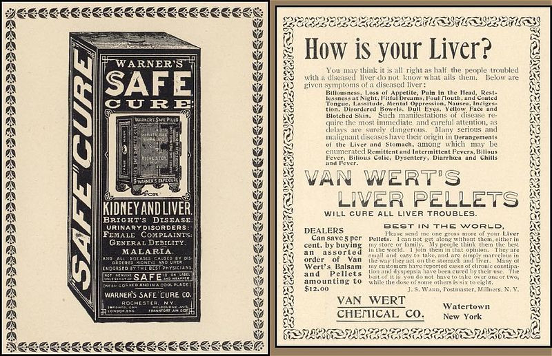 Warner's Safe Cure and Van Wert's Liver Pellets advertisements — historic image