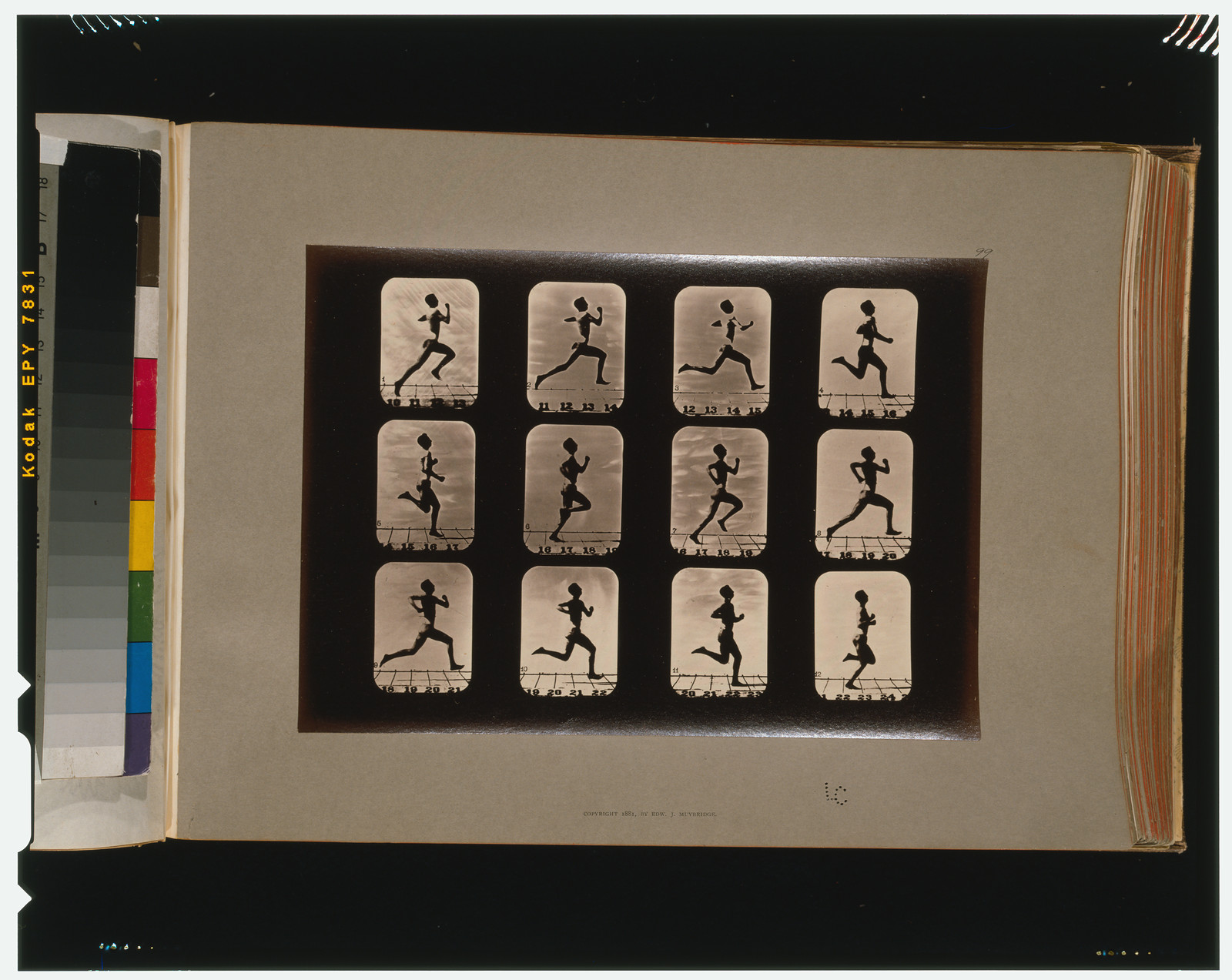 Athletes. Running, [San Francisco] : Muybridge, c1881. — historic photograph