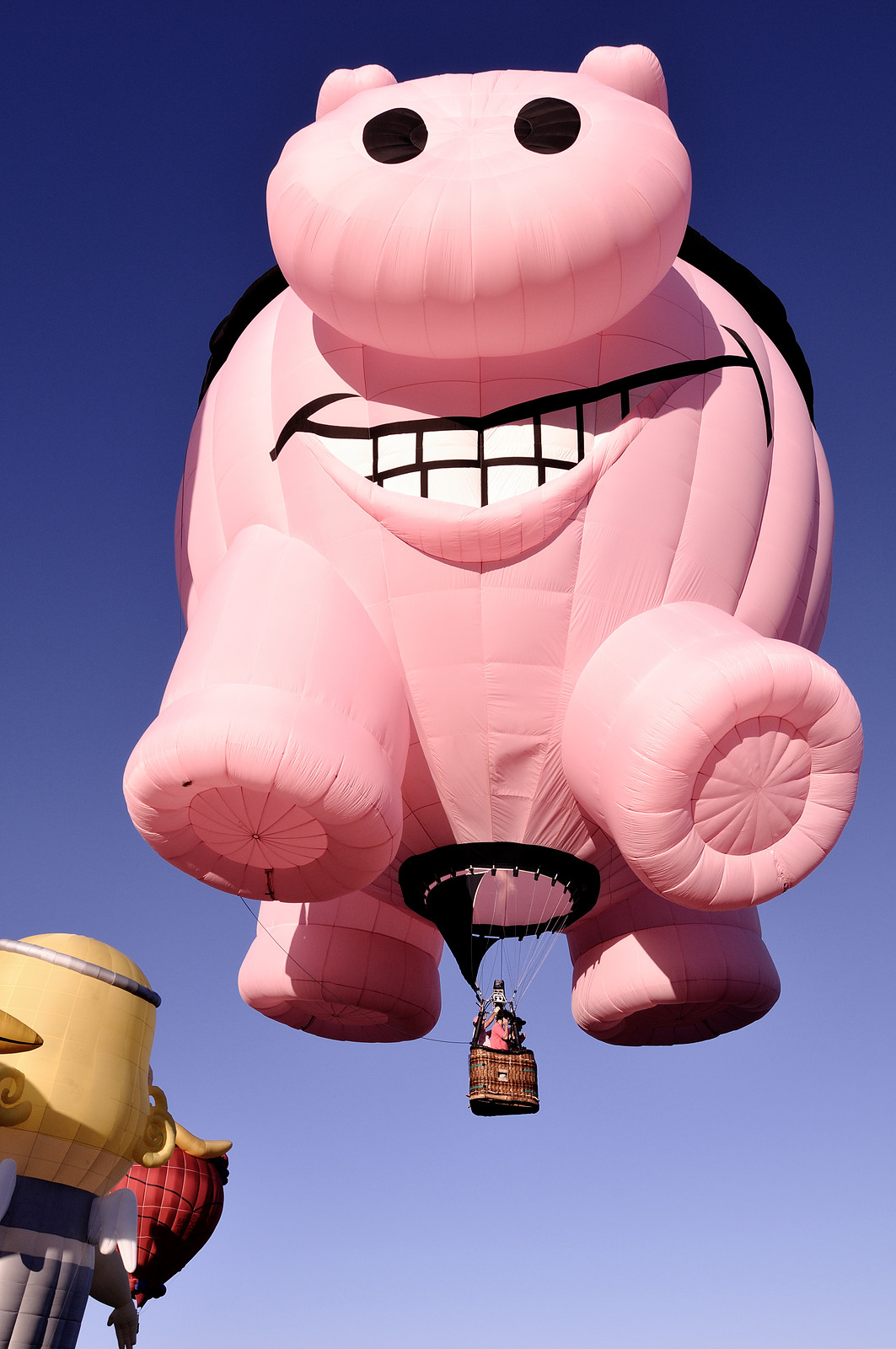 Large pink pig-shaped hot air balloon in blue sky — historic image