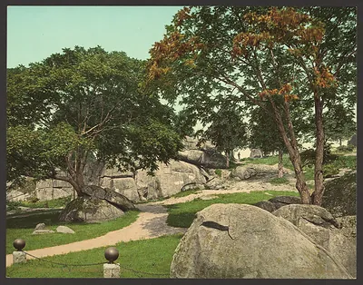 Devil's Den rock outcrops with winding path and trees