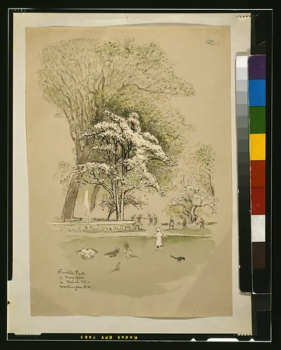 Franklin Park, a magnolia in March [...], Washington, D.C.
