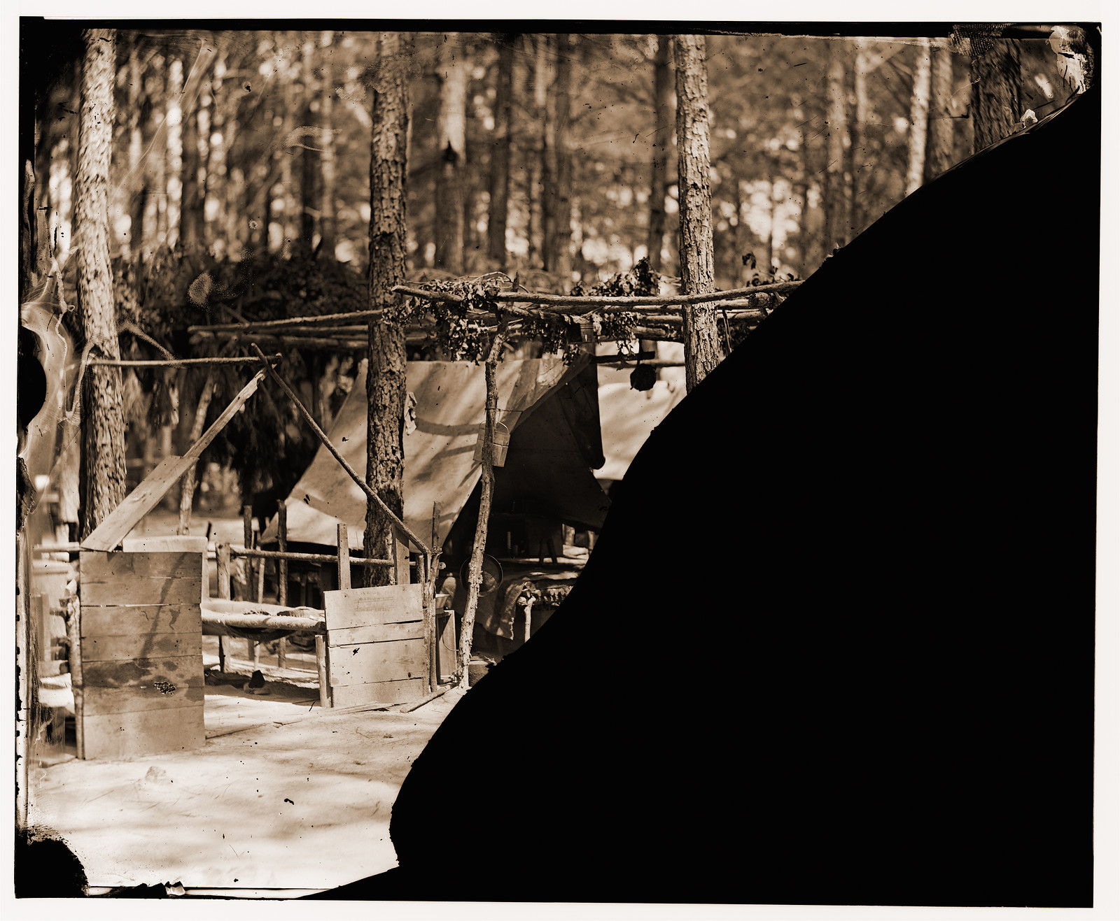 Petersburg Virginia. Camp in pine woods, 1864 — historic photograph