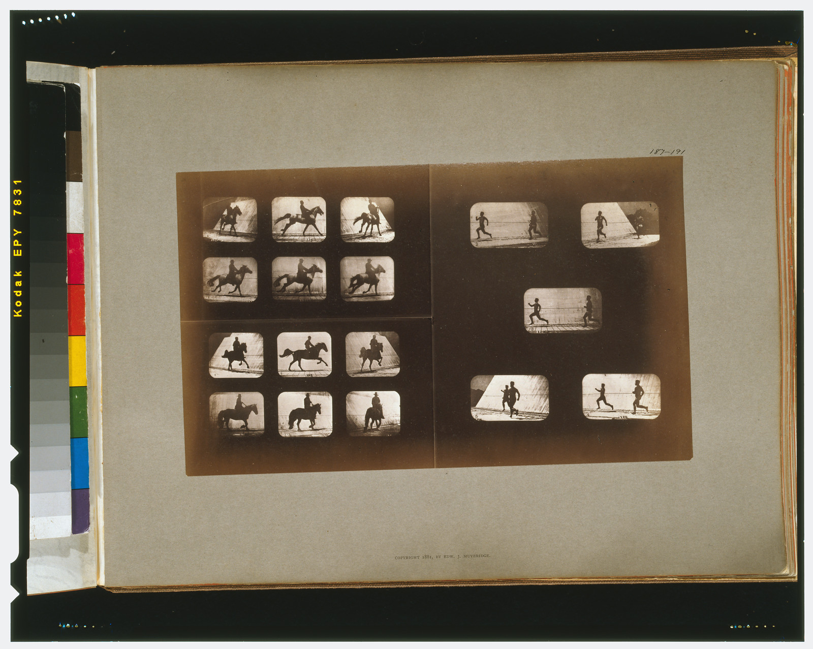 Horses. Running--Horses. Running--Horses. Running--Horses. Walking--Athletes. Running, [San Francisco] : Muybridge, c1881. — historic photograph