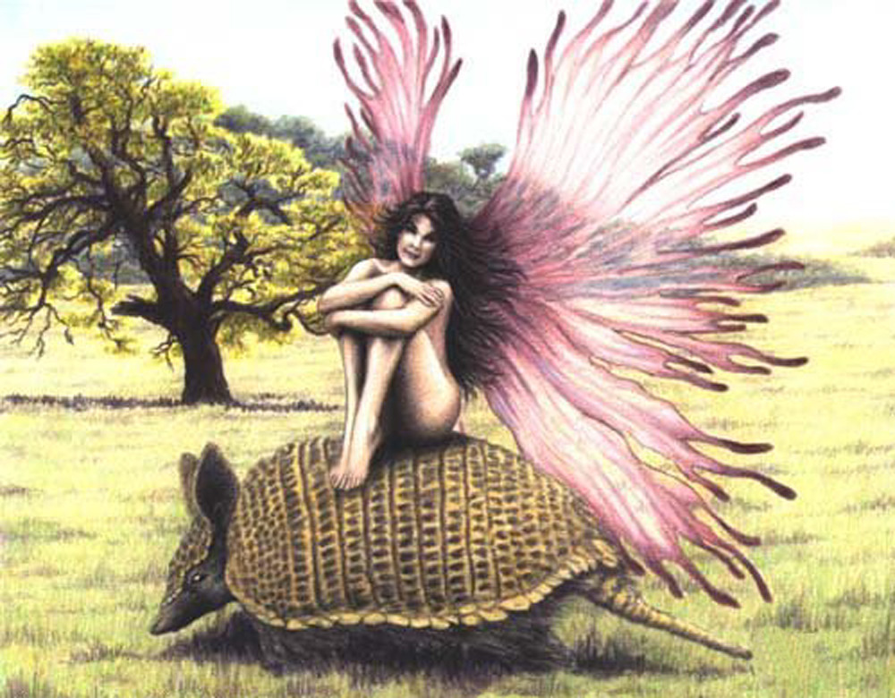Winged fairy sitting on an armadillo in a meadow — historic image