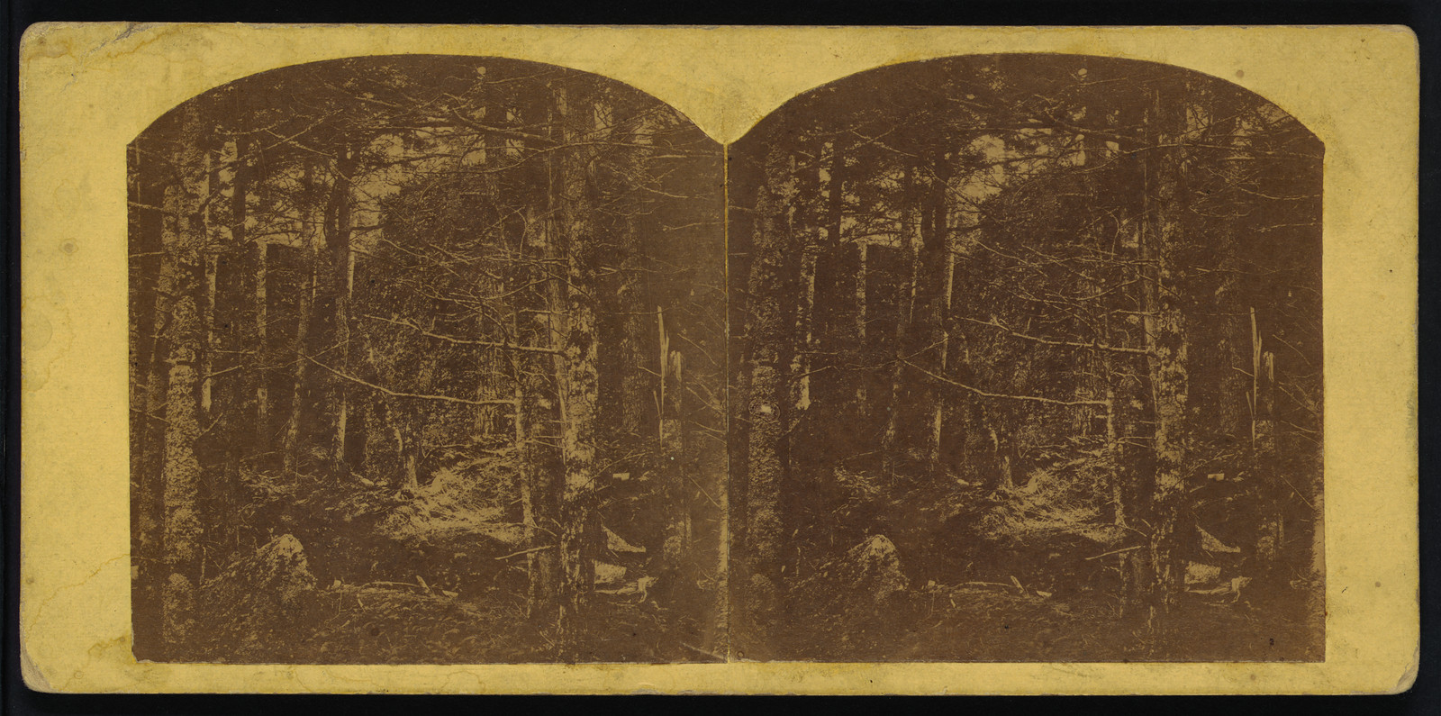 On the South Mountain Catskill, 1861 — historic photograph
