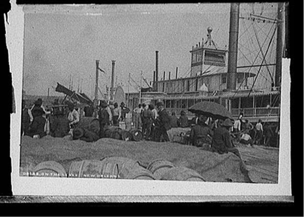 On the levee, New Orleans, [between 1880 and 1897] — historic photograph
