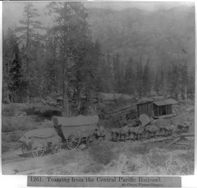 Teaming from the Central Pacific Railroad at Cisco, Placer County