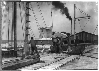Unloading oysters on the dock. Alabama Canning Co.,. Location: Bayou La Batre, Alabama.
