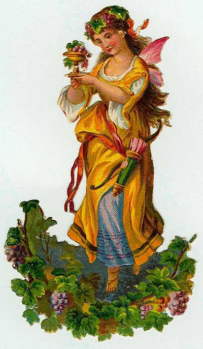Winged fairy in yellow gown with grapes and vine