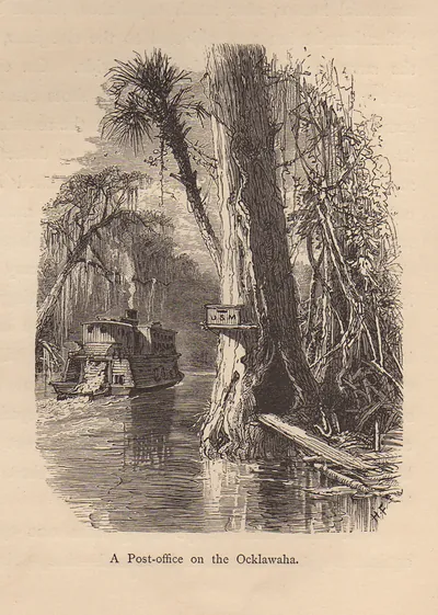 A Post-office on the Ocklawaha