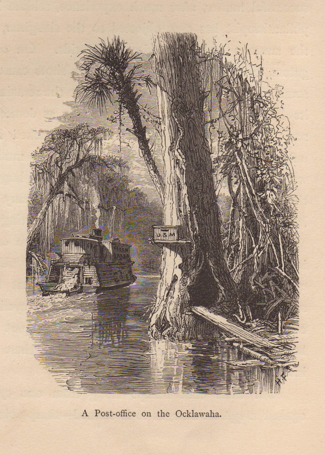 A Post-office on the Ocklawaha — historic image