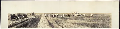 Gasoline plow in a field with men and automobiles