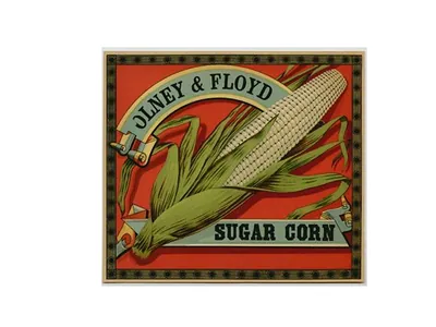 Olney & Floyd Sugar Corn crate label with ear of corn