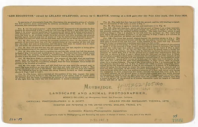 Muybridge card: Abe Edgington trotting horse motion study text