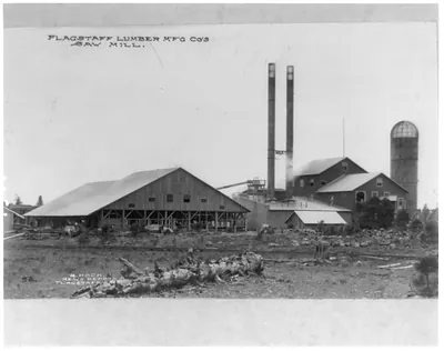 Flagstaff Lumber M'f'g Co.'s saw mill