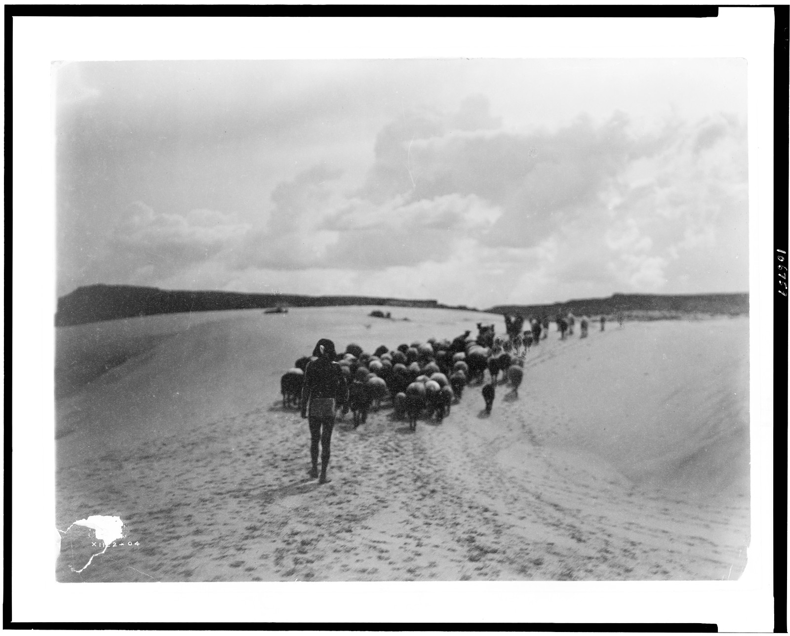 [The end of day, Hopi boy herding horses and sheep across sand dunes, New Mexico], c1905. — historic photograph