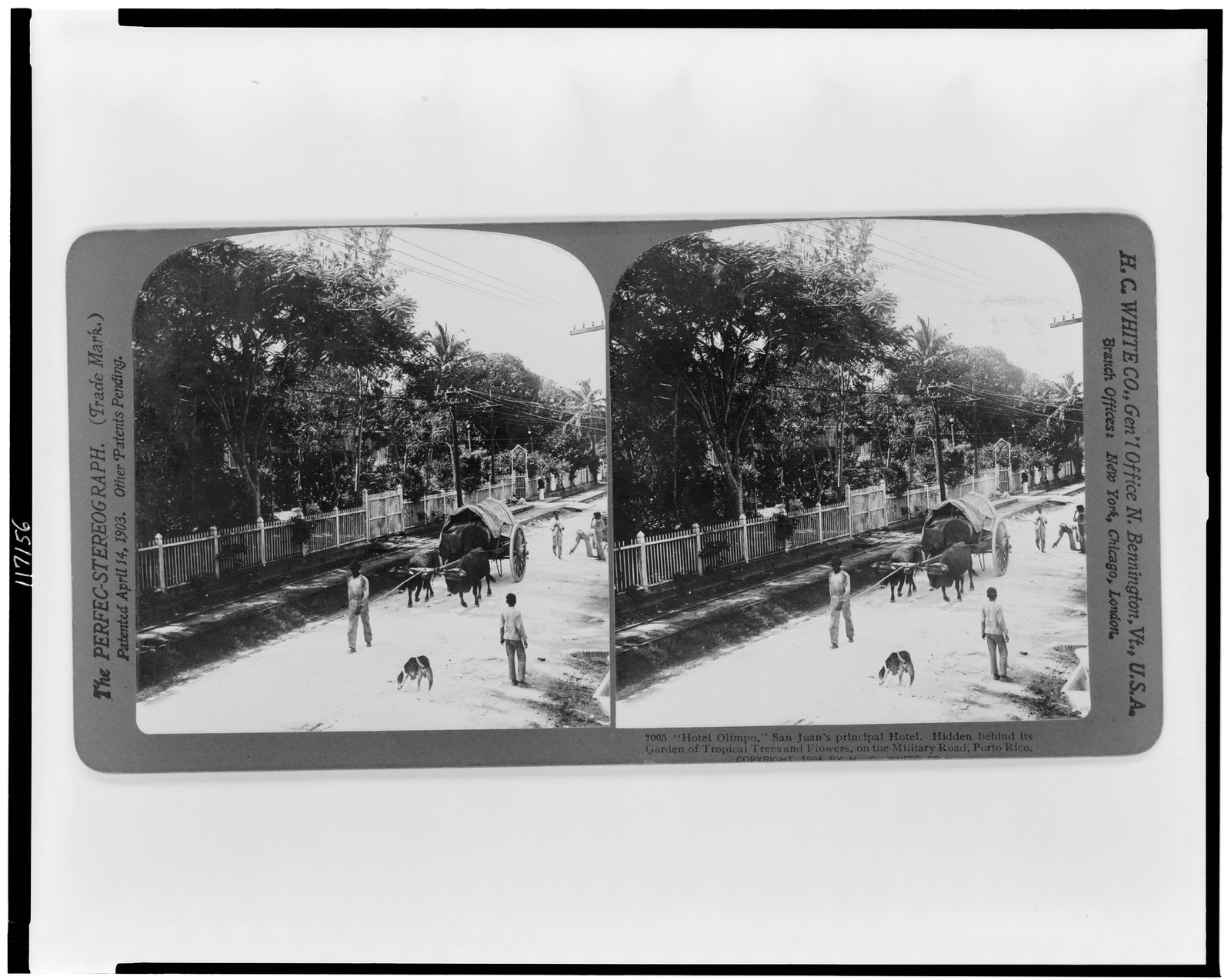 Hotel Olimpo San Juans principal hotel--Hidden behind its garden of tropical trees and flowers on the Military Road Porto Rico, 1904 — historic photograph