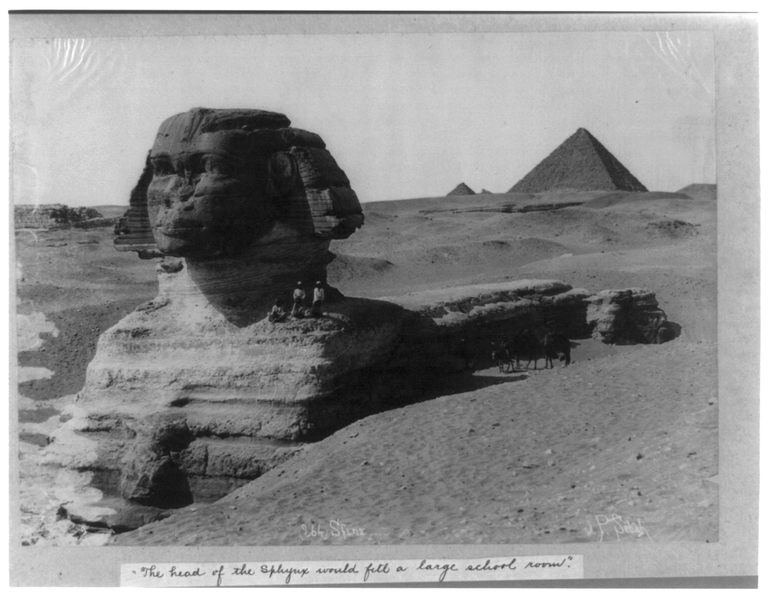 The Sphinx, Egypt, [between 1890 and 1923] — historic photograph