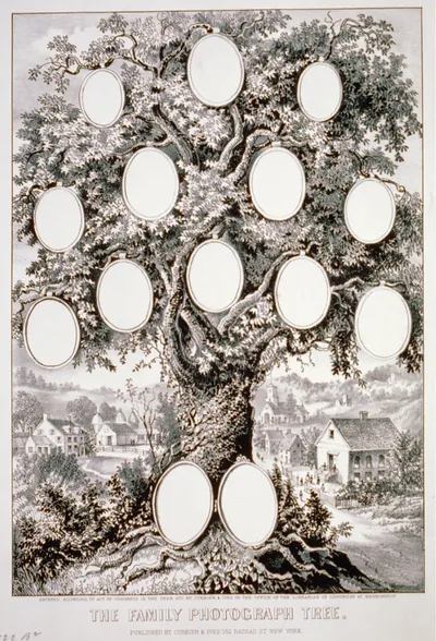 The family photograph tree