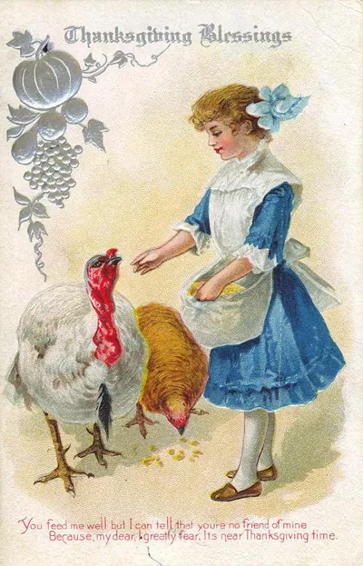 Thanksgiving Blessings postcard: girl feeding turkey and hen