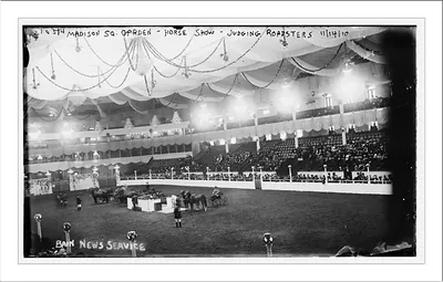 Madison Square Garden, Horse Show, judging roadsters
