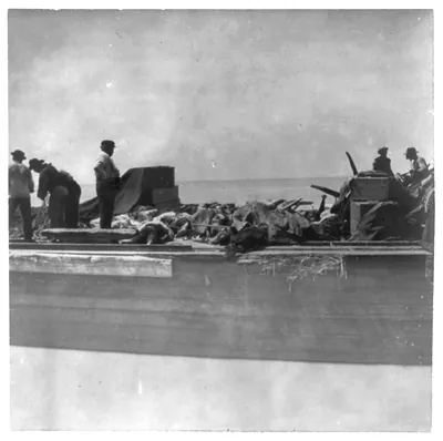 [Aftermath of hurricane and flood in Galveston, 1900: barge full of dead bodies which were buried at sea, Sept. 10, 1900]