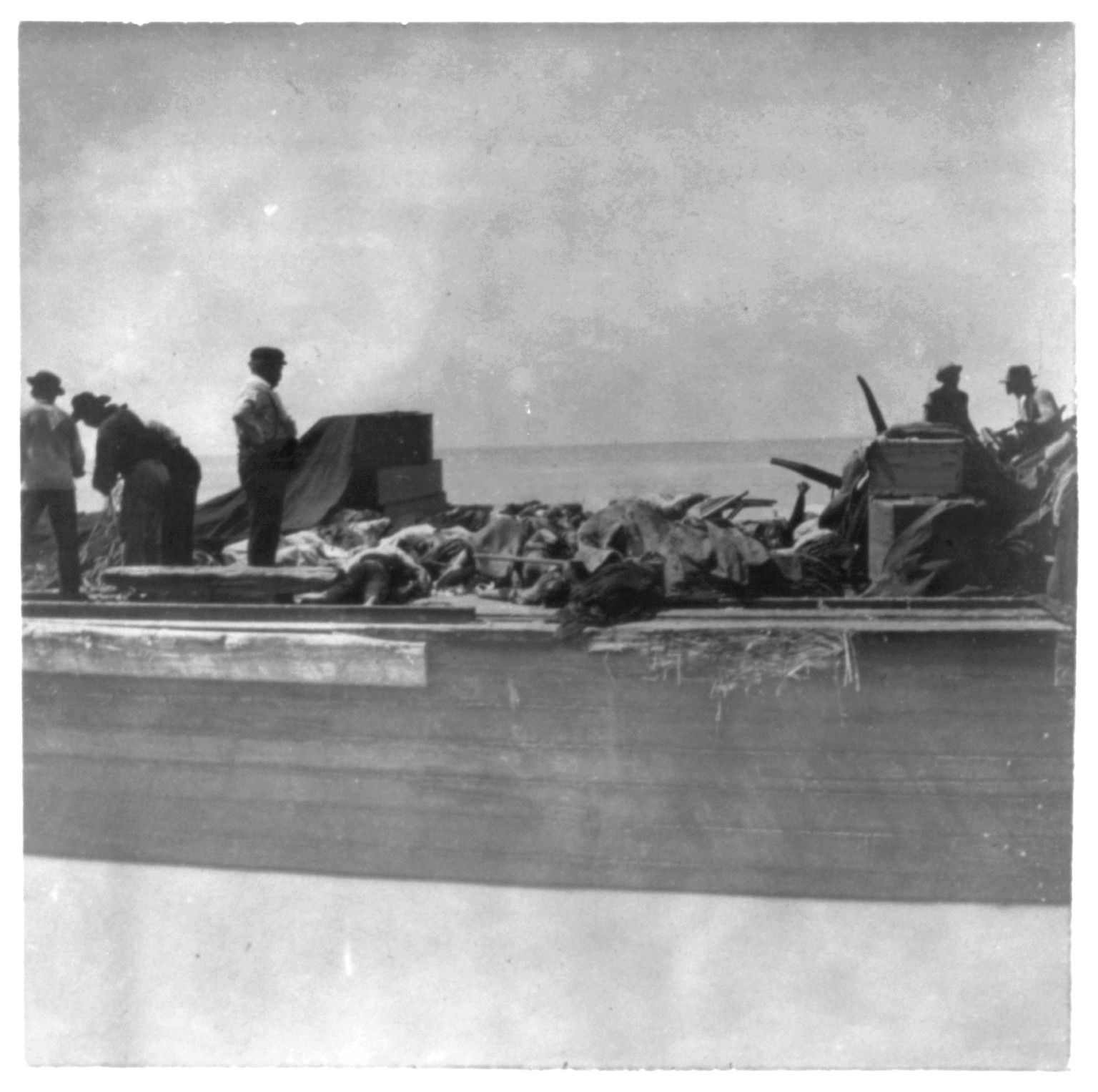 [Aftermath of hurricane and flood in Galveston, 1900: barge full of dead bodies which were buried at sea, Sept. 10, 1900], 1900 — historic photograph
