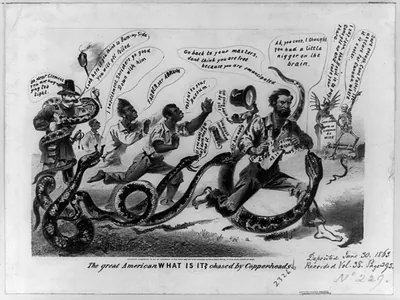 The great American What is it? chased by Copper-heads