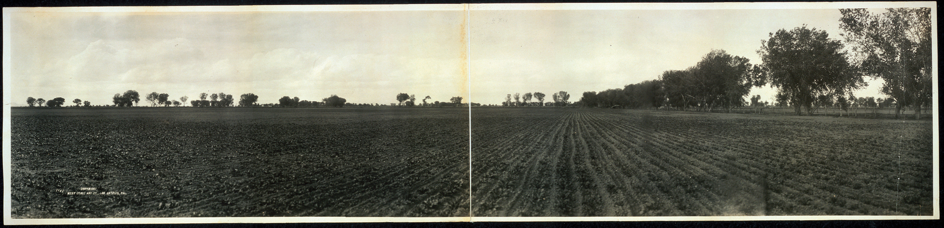 Beetfield, Arizona, 1912, 1912 — historic image