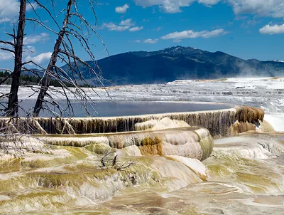 Mammoth Hot Springs, Yellowstone National Park, Wyoming