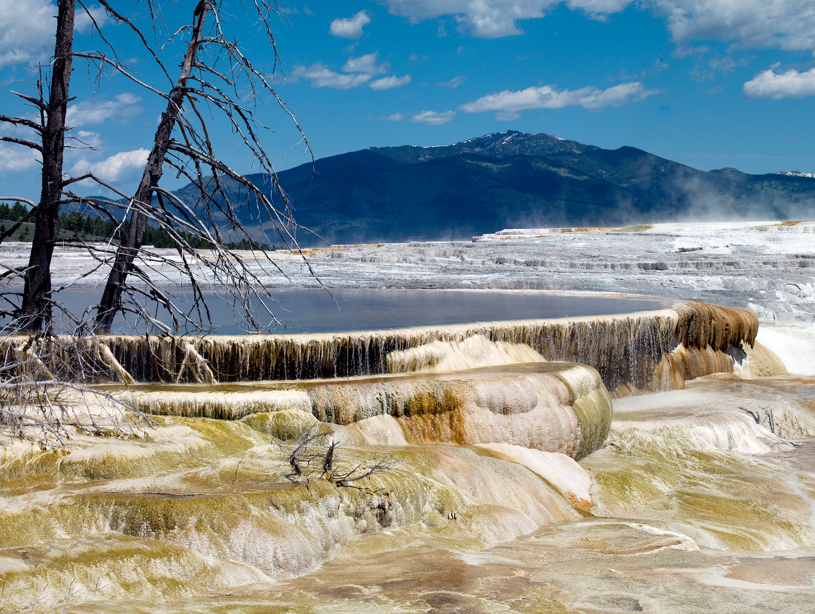 Mammoth Hot Springs, Yellowstone National Park, Wyoming — historic image