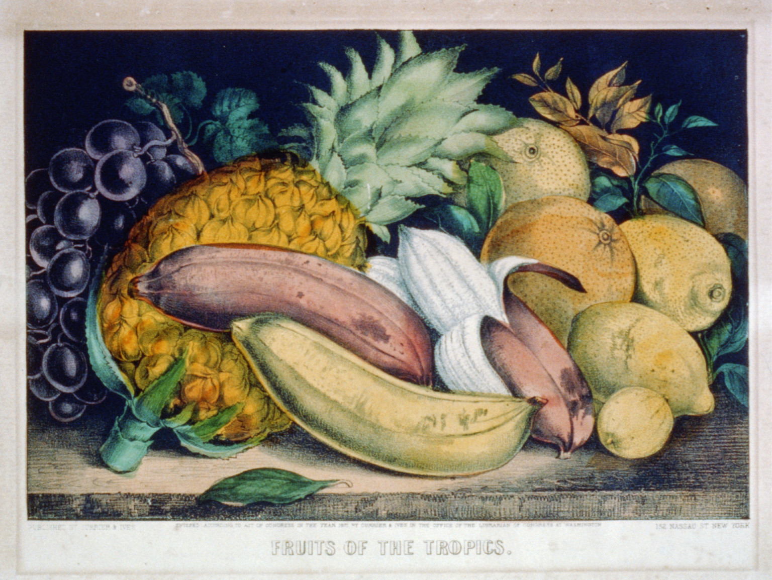 Fruits of the Tropics lithograph with pineapple and bananas — antique lithograph